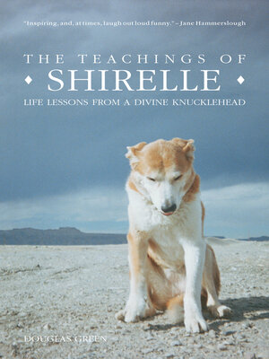 cover image of The Teachings of Shirelle: Life Lessons from a Divine Knucklehead